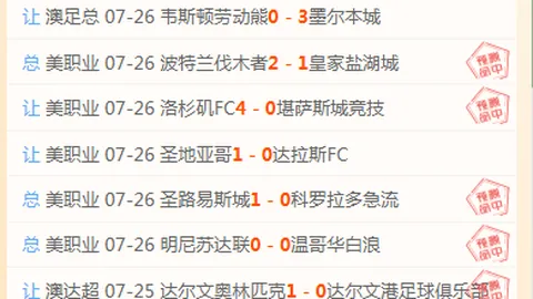 2026世界杯投，足球博彩指南，注买球 095328 16